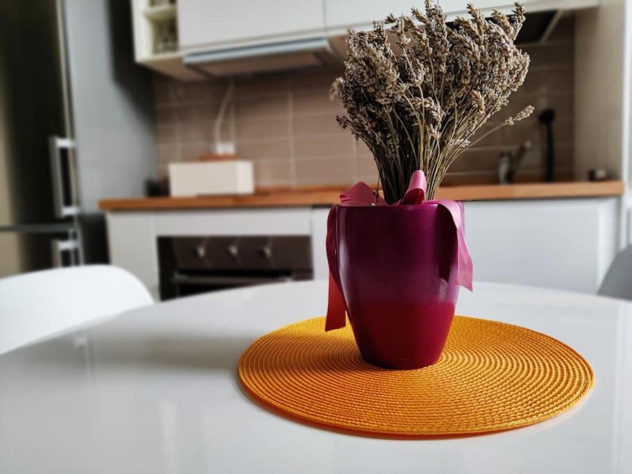 Curtatone Appartamento Firenze